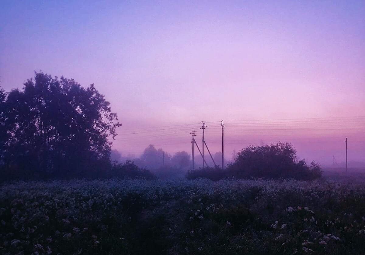 新2在线网址-人大代表建议：增加、延长中华传统节日假期